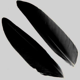 goose quill black ( 1 ����) METZ